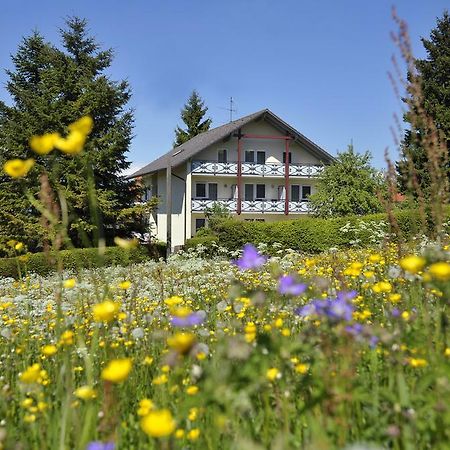 Pension Fohrenberg Ewattingen ห้อง รูปภาพ